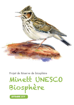 Commission unesco minett