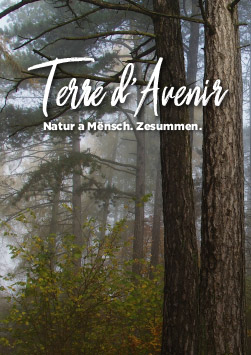 Commission unesco minett