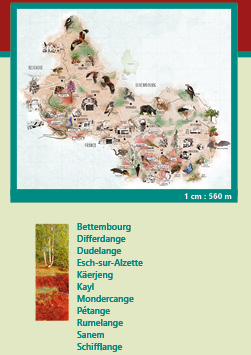 Commission unesco minett