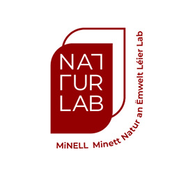 Les gîtes du minett-trail