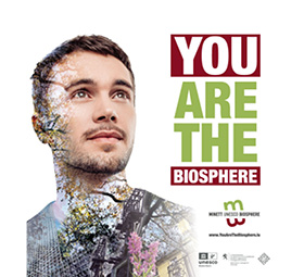 Les gîtes du minett-trail