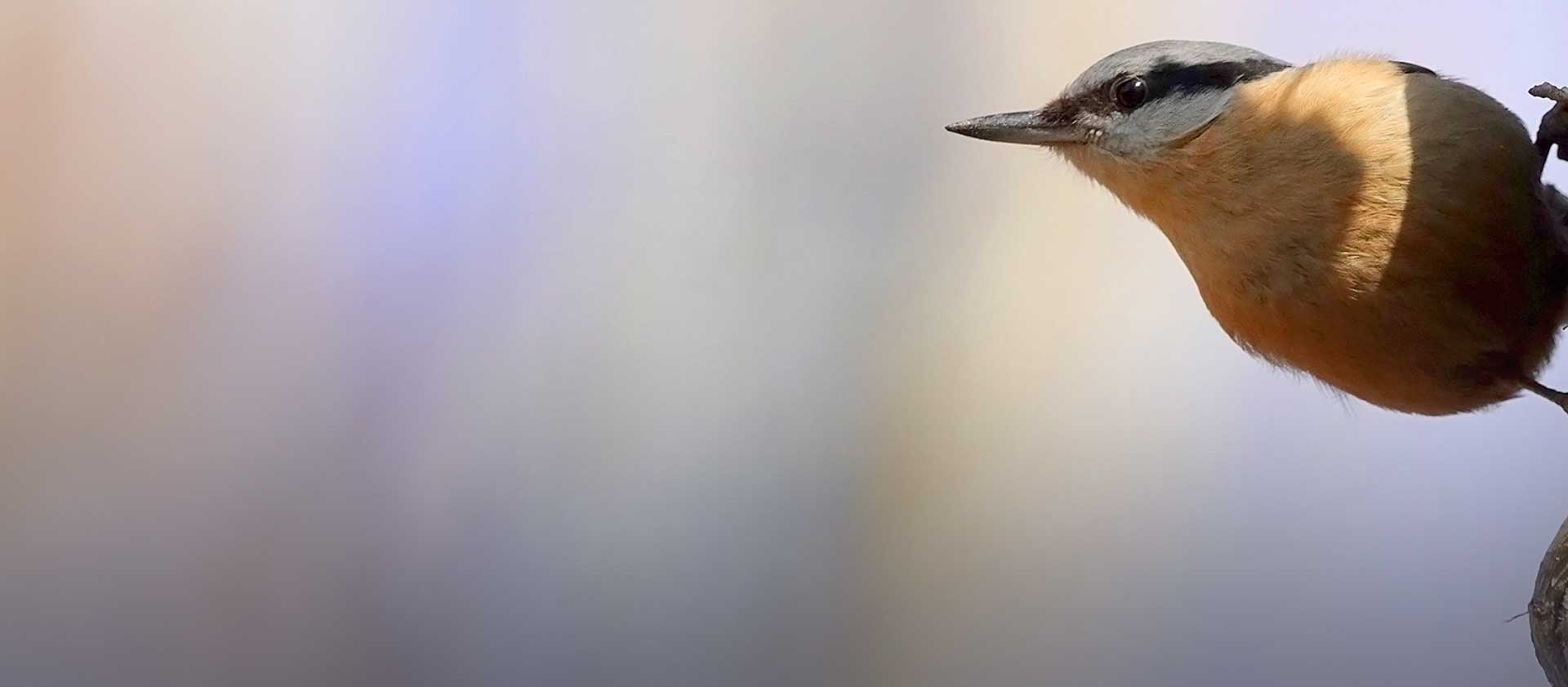 minett unesco biosphere