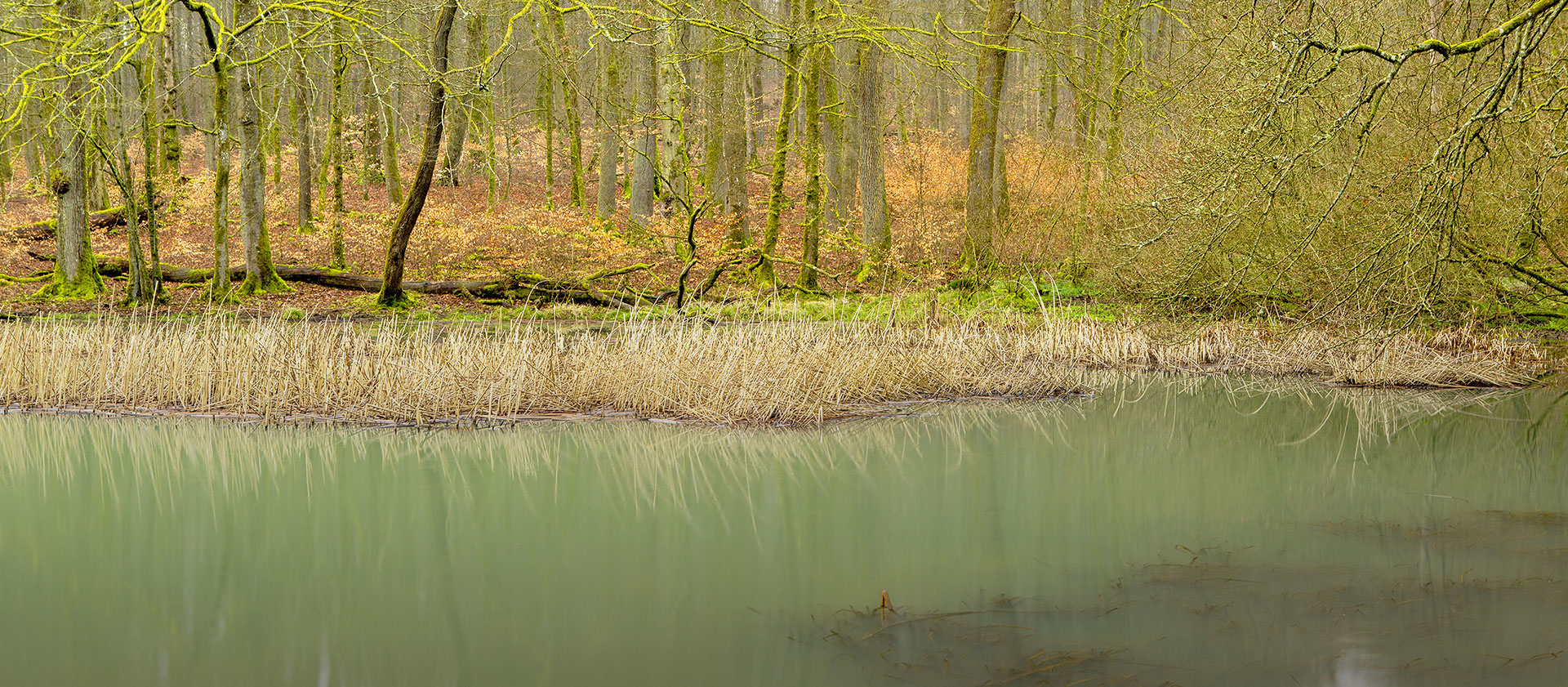 minett unesco biosphere